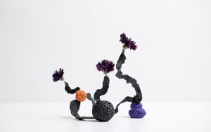 Klocko, O\’Keefe and Daniel